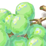 ブドウとリンゴ