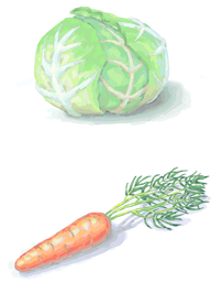 キャベツと人参